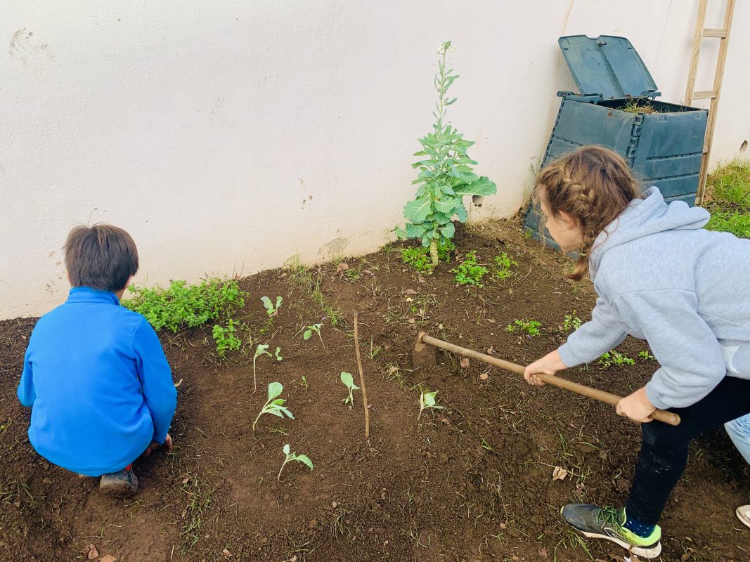 Cultivating Futures