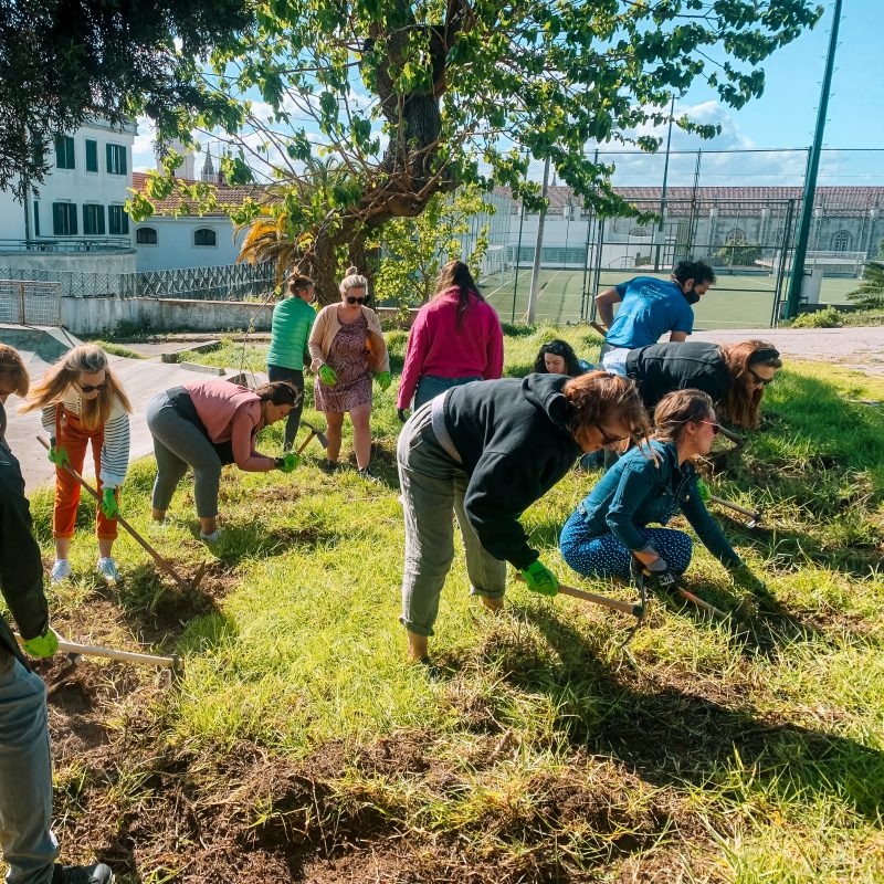 Cultivating Futures