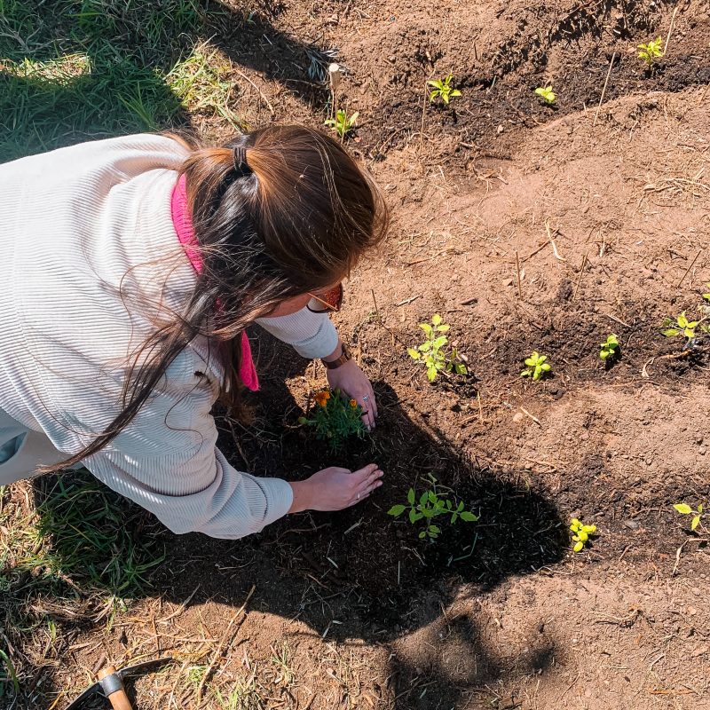 Cultivating Futures