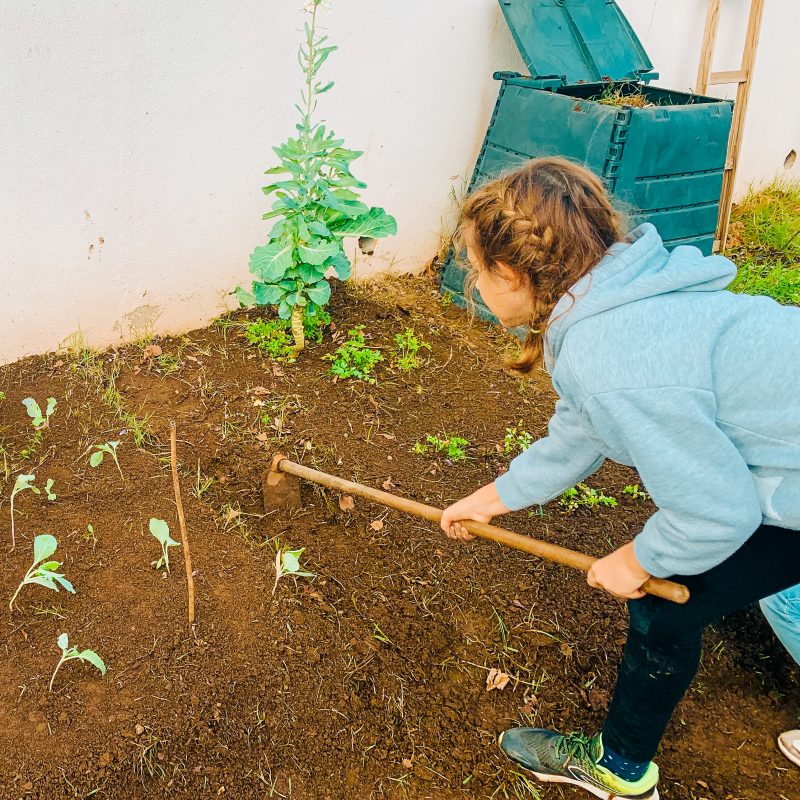 Cultivating Futures